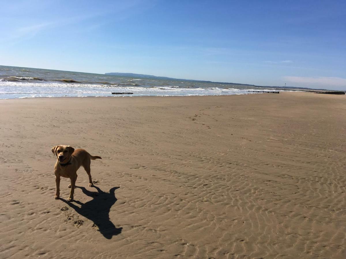 7 Coastguard Cottages, Jury'S Gap, Camber Sands Екстериор снимка